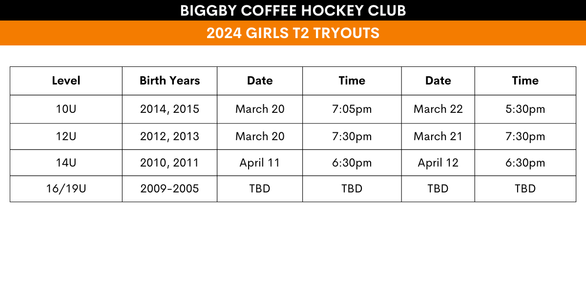 Ann Arbor Ice Cube Tryout